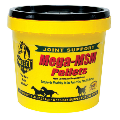 5 lb Mega MSM by Select Horse Products