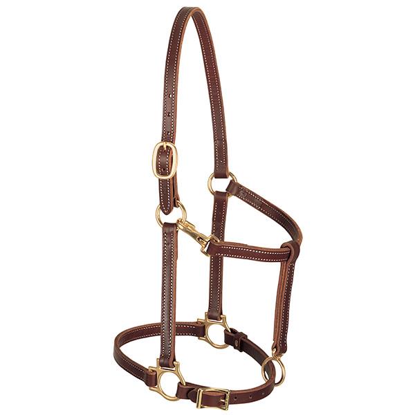 Track Halter 3/4" Horse by Weaver