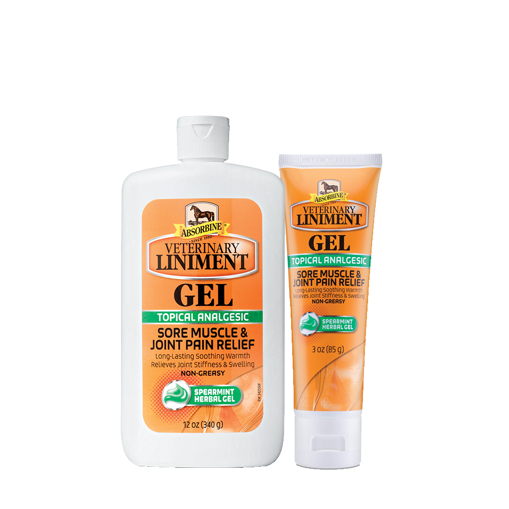 Veterinary Liniment Gel by Absorbine