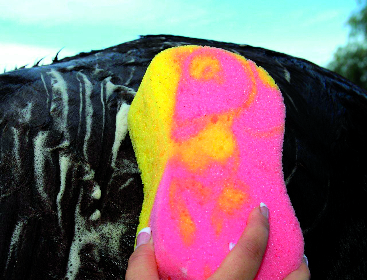 TIE DYE SPONGE 12-PACK by Professionals Choice