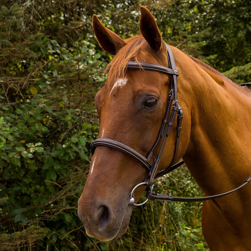 Pro Mono Crown Fancy Stitched Padded Bridle by Henri De Rivel