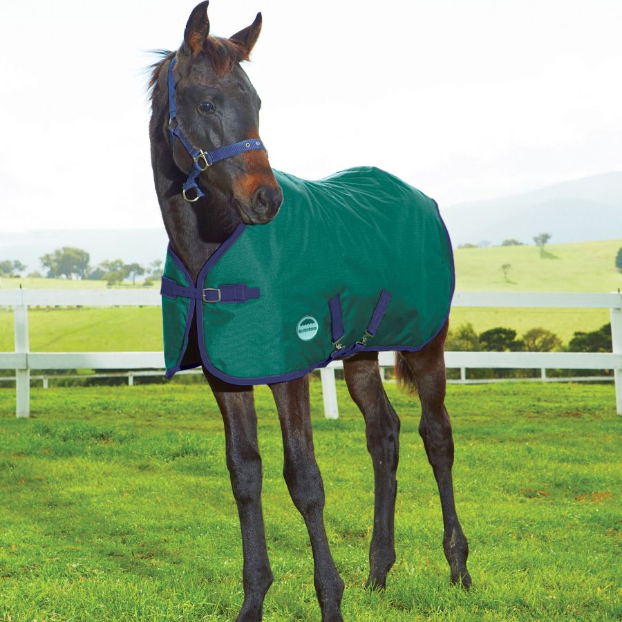 Hunter Green and Navy 1200D Standard Neck Medium II Foal Blanket by Weatherbeeta