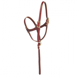 Figure 8 Foal Halter by Weaver