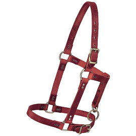 Riveted Yearling Halter by Weaver