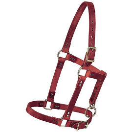 Riveted Weanling Halter by Weaver