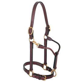 Track Halter 1" Horse by Weaver