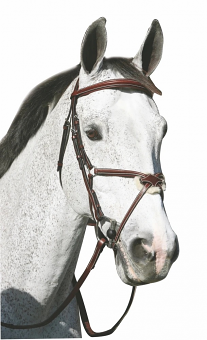 Pro Mono Crown Raised Figure Eight Bridle with Rubber Reins by Henri De Rivel