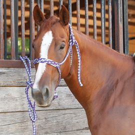 Braided Rope Halter by Classic Equine