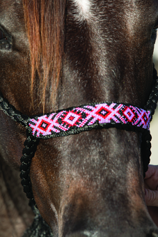COWBOY BRAIDED HALTER 10' LEAD by Professionals Choice