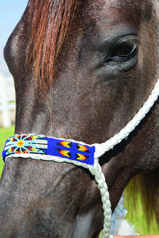 COWBOY BRAIDED HALTER 10' LEAD by Professionals Choice