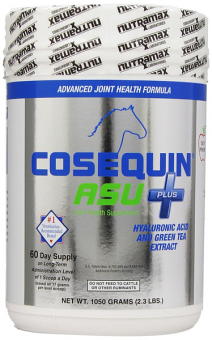 Cosequin ASU Plus