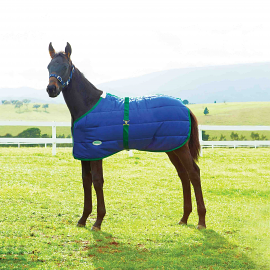 Navy and Hunter Green 420D Standard Neck Medium Foal Blanket by Weatherbeeta