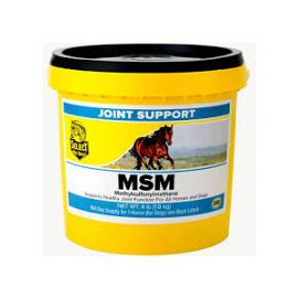 MSM Joint Support by Select Horse Products