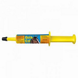 Quia-Cal Syringe by Finish Line